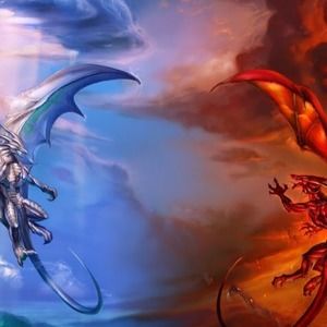 Meet your Posher, Daphne